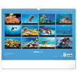 Falinaptár képes  480×330mm Ocean Wildlife Realsystem 2026.