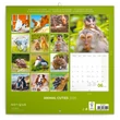 Falinaptár képes lemeznaptár 300x300mm, Animal Cuties Realsystem 2026.