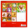 Falinaptár képes lemeznaptár 300x300mm, Dogs Realsystem 2026.