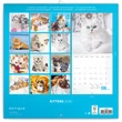 Falinaptár képes lemeznaptár 300x300mm, Kittens Realsystem 2026.