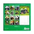 Falinaptár képes lemeznaptár 300x300mm, Pandas Realsystem 2026.