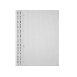 Spirálfüzet A4, 80lap, perforált lyukasztott Evoffice kockás