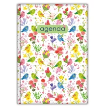 Határidőnapló Colors A5 heti, fehér lapokkal Nature zöld Dayliner 2026.