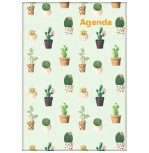 Határidőnapló Colors A5 napi, fehér lapokkal Cactus Dayliner 2026.