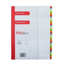 Regiszter karton  Evo 1-31