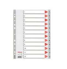 Regiszter műanyag A4, 1-12 Esselte szürke