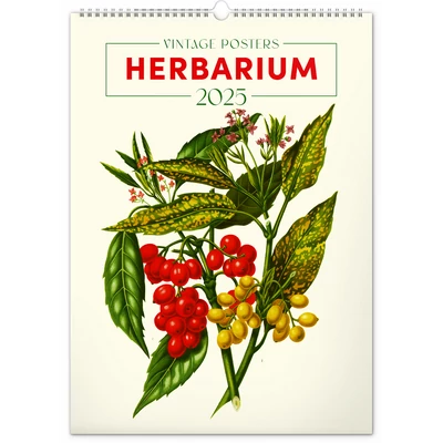 Falinaptár képes  330×460mm Vintage Posters-Herbarium Realsystem 2026.