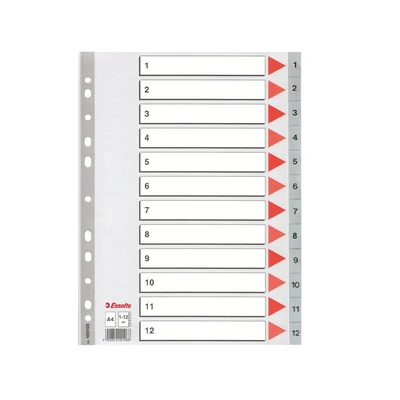 Regiszter műanyag A4, 1-12 Esselte szürke